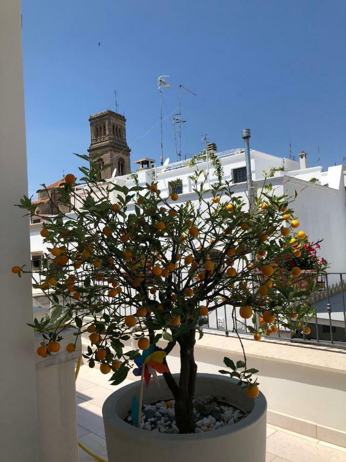Palazzotto "Fasano Antica" Apartment Luaran gambar